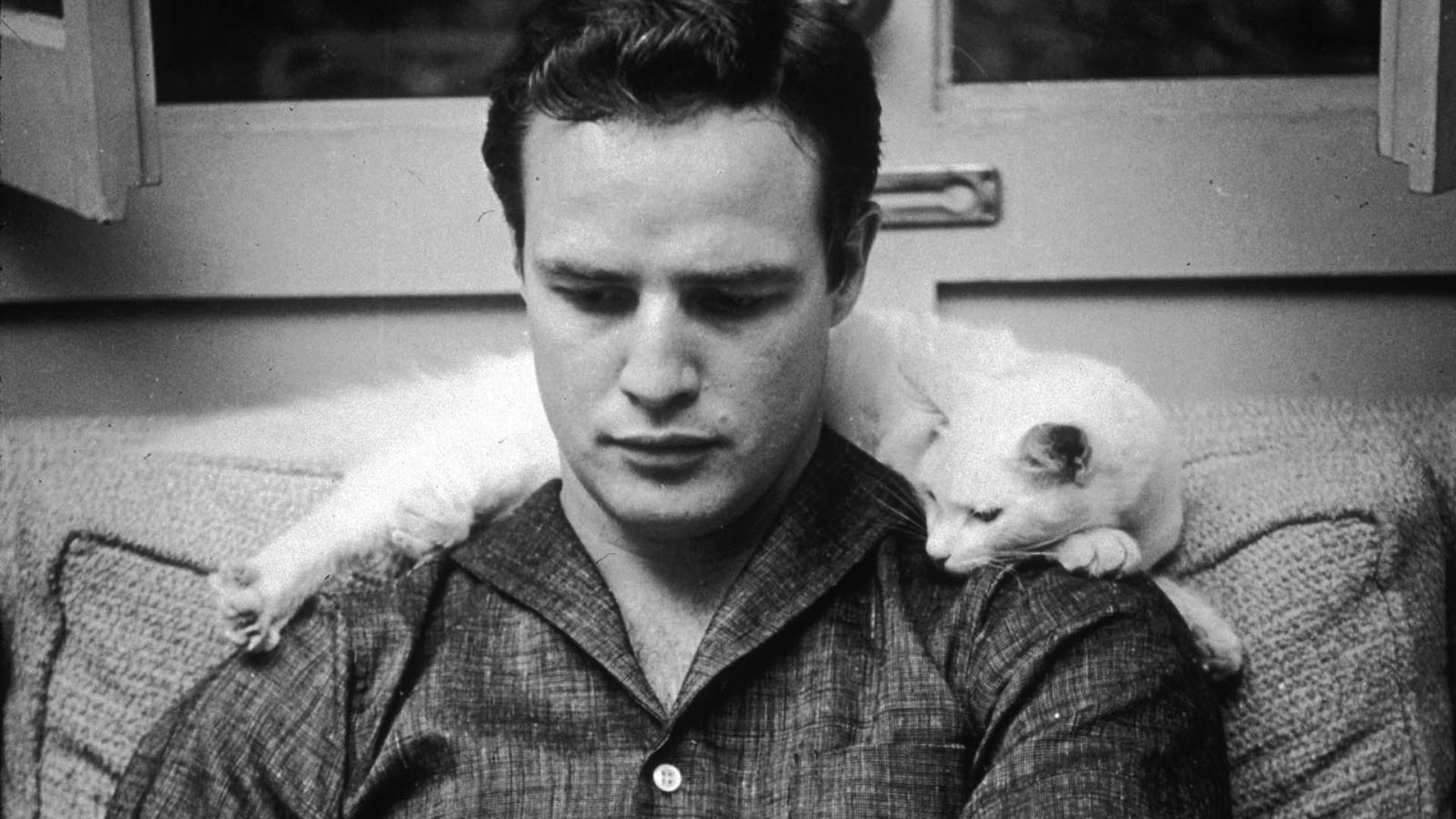 Marlon Brando and a kitty