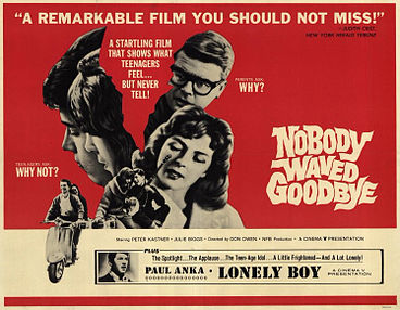 A movie poster for Nobody Waved Goodbye.